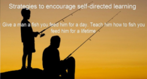 Strategies to encourage self-directed learning